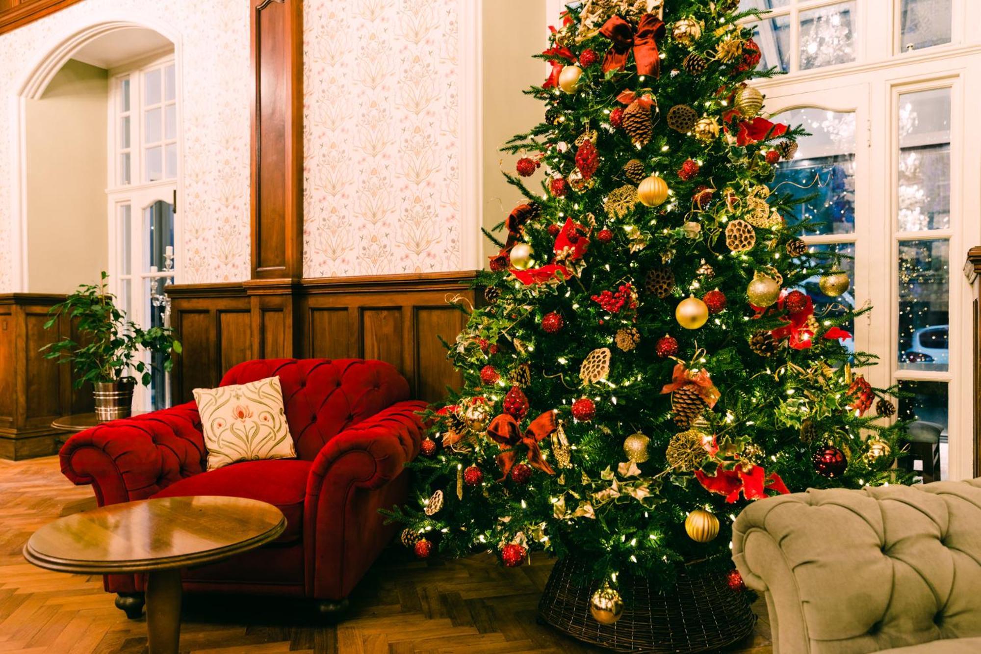 The Penrallt Country House Hotel Aberporth Exteriör bild